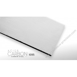 Acier Carbone 1095