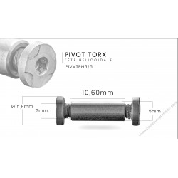 Pivot torx tête hélicoïdale 6mm