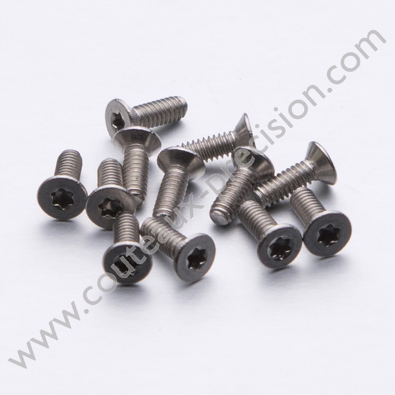 Vis Tête Fraisée Inox M6 x 18mm - Torx - Euro Makers